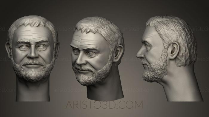 Busts and bas-reliefs of famous people (BUSTC_0554) 3D model for CNC machine